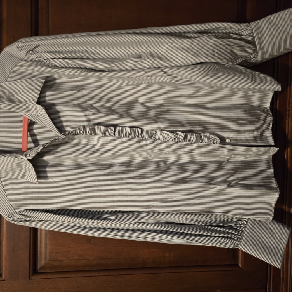 Max Studios Women's Pin Striped Blouse